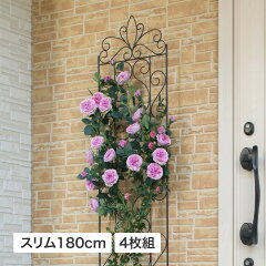 https://thumbnail.image.rakuten.co.jp/@0_mall/aoyama/cabinet/c01211/32450700.jpg