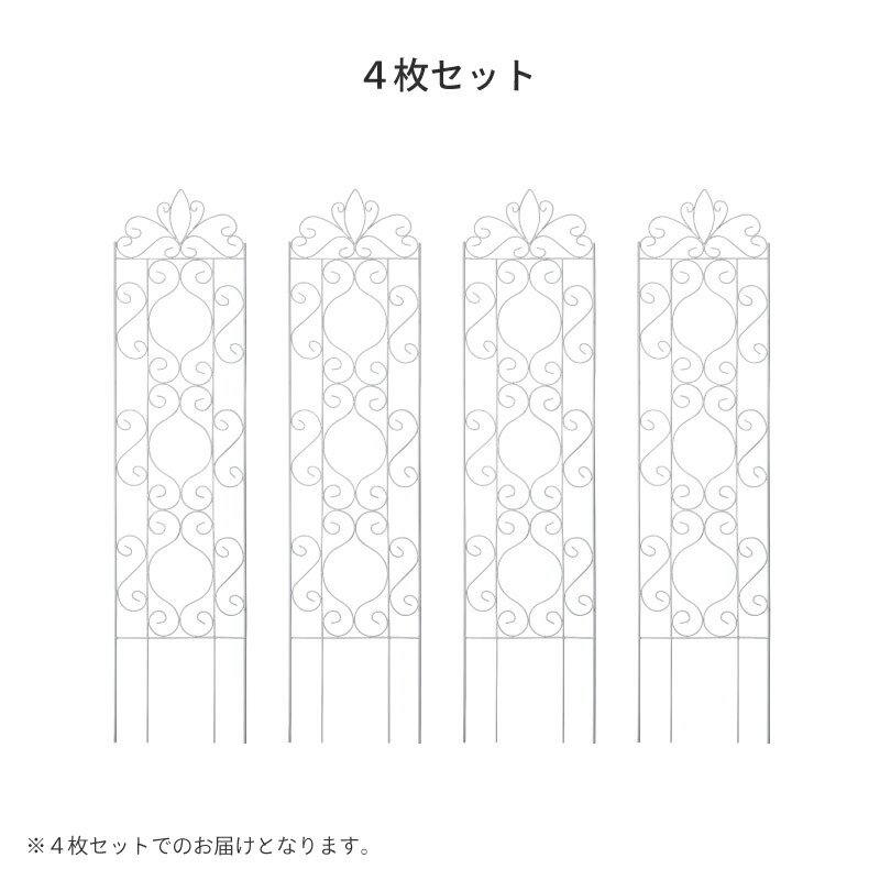 �ȥ�ꥹ �ե��� �Х� ����ޥ��� Ͷ�� �Ĥ��� �ܱ��� �ܤ����� ������� �������硼 / �ǥ�����ȥ�ꥹ�����1800�ۥ磻��4�� /�淿