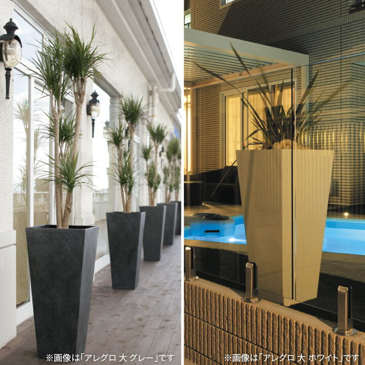 Gaveria 鉢 プランター ポット 大型 ガーデニング 店舗 施設 タカショー / ロング...