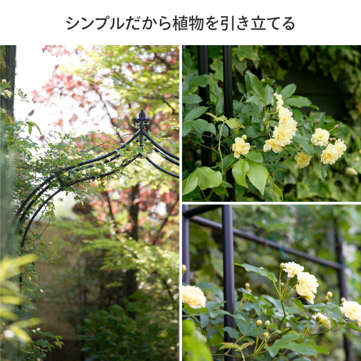 ������ �Х� ����ޥ��� Ͷ�� �Ĥ��� �����ǥ˥� �� �������硼 / ������������ /�淿