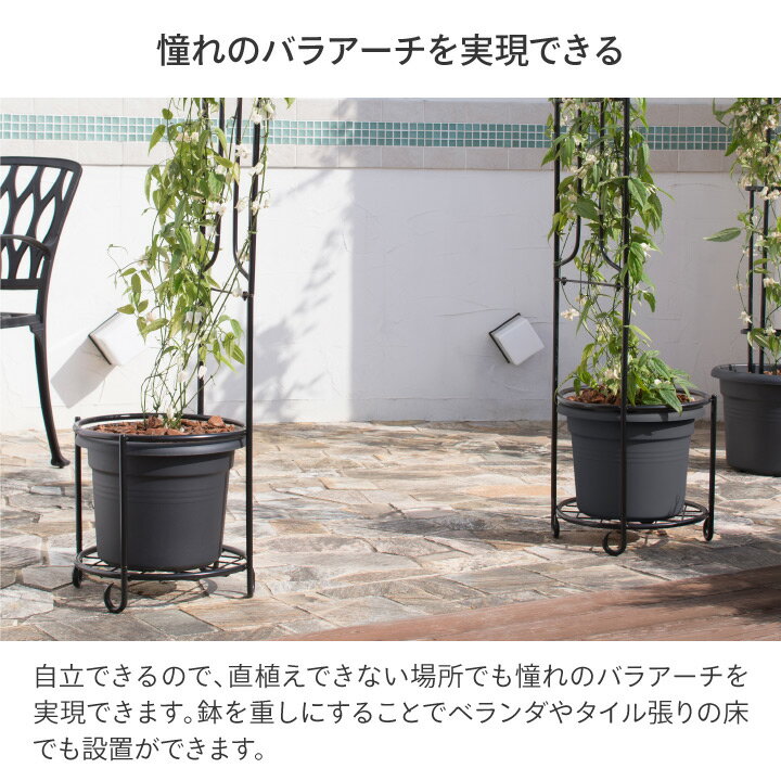 ������ �Х� ����ޥ��� Ͷ�� �Ĥ��� �����ǥ˥� �� �������硼 / �����Х󥢡��� /�淿