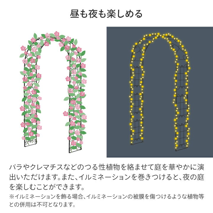 ������ �Х� ����ޥ��� Ͷ�� �Ĥ��� �����ǥ˥� �� �������硼 / ���饤�ߥ󥰥������꡼�� /����