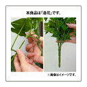 人工観葉植物 下草 坪庭 造花 業務用 施設 オフィス 店舗 装飾 フェイク グリーン グランドカバー リアル タカショー / グリーンデコ テーブルヤシ /小型 (rco) 2