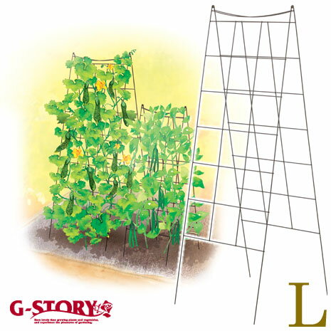 【NEW】G-story クライミング フォールド トレリス L
