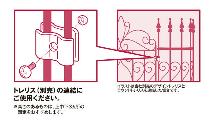 ���٥ꥹ�� �ȥ�ꥹ �������硼 ʡ�� / �ǥ�����ȥ�ꥹϢ���Ѷ�� 6���� /����