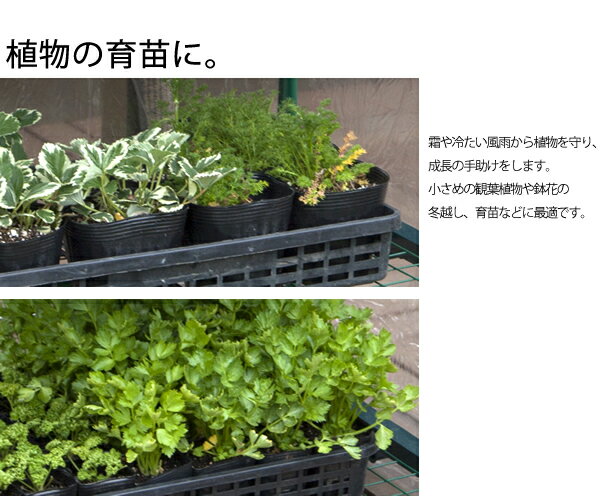 温室 ビニールハウス 大型 育苗 寒冷 霜 菜園 自転車 タカショー / ビニール温室 ...