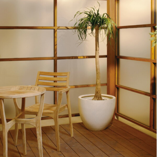 Gaveria 鉢 プランター ポット ガーデニング 店舗 施設 菜園 寄せ植え タカショー ...