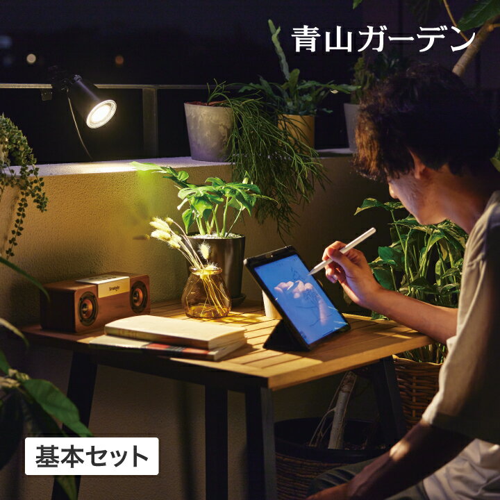 ひかりノベーション ガーデンライト led 屋外用 点灯 コンセント 屋外 低電圧 LEDIUS HOME DIY タカショー 福袋 / ひかりノベーション 活動のひかり 基本セット /小型 (rca_h)