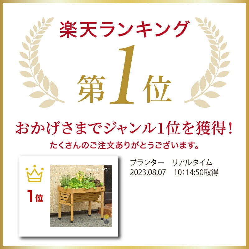 アウトレット ランキング1位 家庭菜園 プランター ベジトラグ 菜園 スタンド 木製 ガーデニング タカショー / ホームベジトラグ ウォールハガー コンパクト ナチュラル グレイウォッシュ【AR対応商品】 /小型 (rla) 2