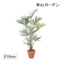 人工観葉植物 造花 業務用 施設 オフィス 店舗 装飾 フェイク グリーン リアル 飾り タカショー / ニューケンチャヤシ 2.1m /大型 (rco)