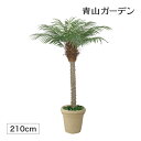 人工観葉植物 造花 業務用 施設 オフィス 店舗 装飾 フェイク グリーン リアル 飾り タカショー / フェニックス 2.1m /大型 (rco)(4)