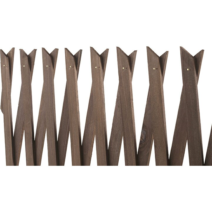 �ȥ�ꥹ �ե��� �Х� ����ޥ��� Ͷ�� �Ĥ��� �ܱ��� �ܤ����� �������硼 / ���̥ȥ�ꥹ �֥饦�� 100��200cm /����