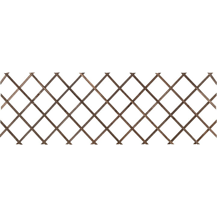 �ȥ�ꥹ �ե��� �Х� ����ޥ��� Ͷ�� �Ĥ��� �ܱ��� �ܤ����� �������硼 / ���̥ȥ�ꥹ �֥饦�� 60��180cm /����