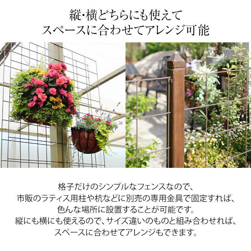 ��󥭥�1�� �ȥ�ꥹ �ե��� �Х� ����ޥ��� Ͷ�� �Ĥ��� �ܱ��� �ܤ����� �������硼 / ���饤�ߥ󥰥ե��� 900��1200 5���� /�淿