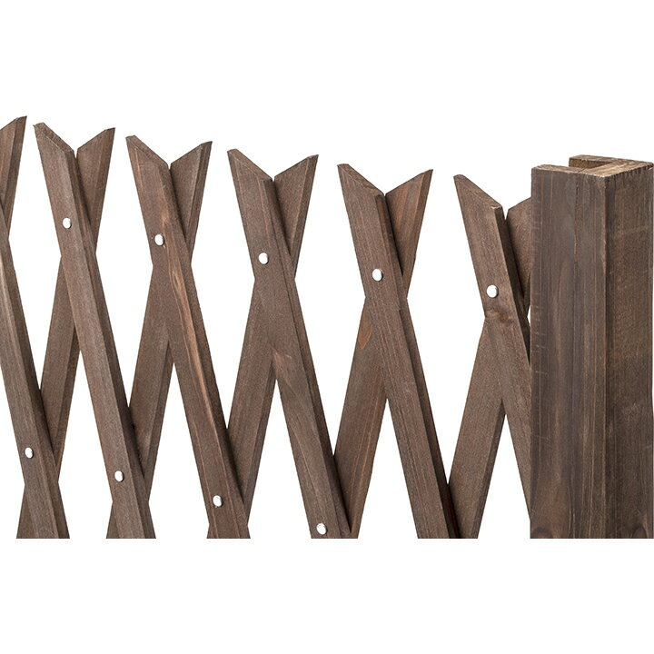 ��ƥ��� �ե��� �� �ܱ��� �ܤ����� ���� DIY �������硼 / ��������տ��̥�ƥ��� 120��120 /����