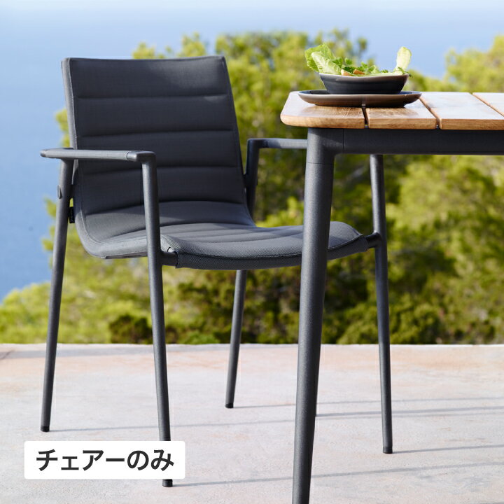 乐天商城 - イス チェア 椅子 屋外 家具 ファニチャー ラタン 高級感 おしゃれ ガーデン / コア アームチェアー グレー /中型