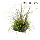 【再入荷】ソードリーフアレンジ 観葉植物 造花 インテリア 枝 モノトーン カフェ 観葉植物 消臭 除菌 光触媒 無光触媒 観葉植物 モダン 大型 造花 黒い 人工観葉植物 人工 和モダン