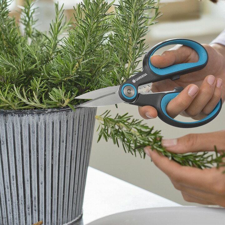 はさみ 鋏 摘果 剪定 枝 GARDENA ガルデナ タカショー / ハーブ収穫ハサミ HerbCut 52mm ステンレス刃 ..