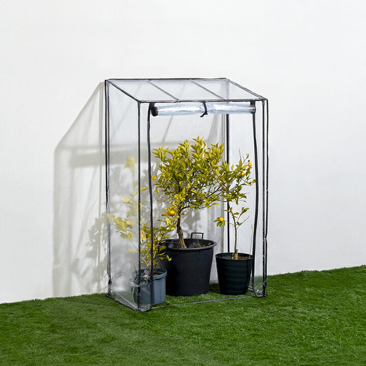 温室 ビニールハウス 育苗 寒冷 霜 菜園 タカショー / ビニール温室 果樹・観葉植物用 /中型