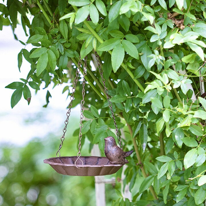 水鉢 ガーデニング GARDEN STORY Series タカショー / バードバス ハンギング /小型