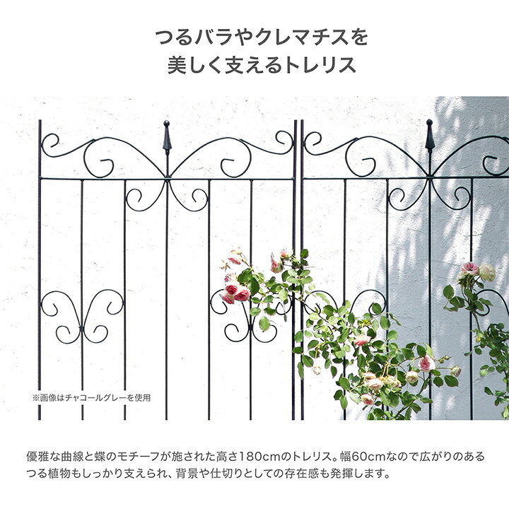 トレリス 誘引 バラ GARDEN STORY Series タカショー / ガーデントレリス パピヨン...