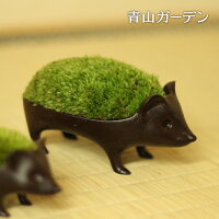 盆栽 苔 コケ ギフト プレゼント 品品 / モダン盆栽 はりねずみ「親」青銅 /A