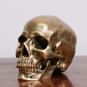 樹脂 頭蓋骨像 置物 室内装飾 髑髏 どくろ 1:1人類スケルトン ヘッドモデル ハロウィン