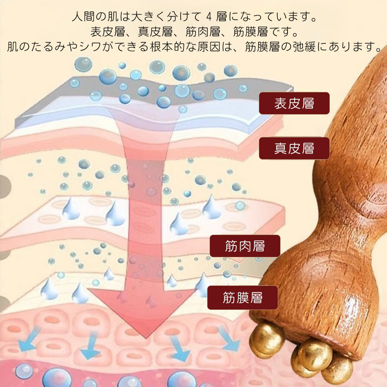 ��¨Ǽ������� �ܸ����� �ե��������� �ĥܲ��� ���� �ӳ� �Ҥ礦���� ϡ�μ·� ŷ���Ǻ� �ʤ�餫 ¿��ǽ������ ��鴶 �����󥱥� �य�ߥ��� ϡ������� �ޥå������� ���ĥܥ��ƥ��å� ɽ��ڥ��� �ե������饤���եȥ��å� ����