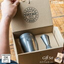VINTAGEINOX カクテルセット A リキュール シロップ モクテル ジュース カフェ バー アウトドア キャンプ おしゃれ シンプル 高級 ステンレス製...