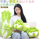 ★期間限定タイムセール★可愛い犬のぬいぐるみ 女の子男の子子どもの日 動物 グリーンおもしろい おもちゃ かわいい 癒し系彼氏彼女抱き枕 柔らかい ふわふわ 家...