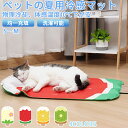 {期間限定タイムセール}猫犬 ベッドマット 夏の冷感ベッド小型犬 ペットベッド ふかふか ふわふわ 犬のベッド 猫ベッド 丈夫 ペット用 洗える 猫シンプルコン...