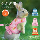 【期間限定!2350円→1780円】ウサギ服 うさぎ用 ペット服 リードセット 可愛い 小動物 ウサギ お散歩 お出かけ Dカン付き 記念撮影 着ぐるみ 簡単着...