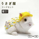 【期間限定!3080円→2380円】ウサギ服 うさぎ用 ペット服 リードセット 可愛い 小動物 ウサギ お散歩 お出かけ Dカン付き 記念撮影 着ぐるみ 簡単着...