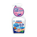 《小林製薬》 小林製薬のパーシャルデント 洗浄フォーム 250ml 【部分入れ歯用洗浄剤】