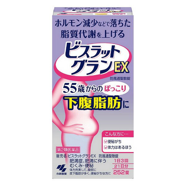 【第2類医薬品】《小林製薬》 ビスラットグランEX 252錠