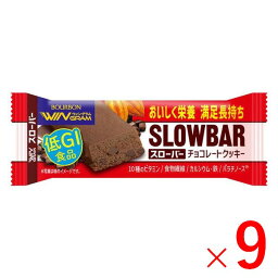 《ブルボン》 スローバー チョコレートクッキー 41g×9本 （栄養調整食品）