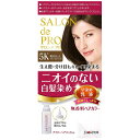 【医薬部外品】《ダリヤ》 サロンドプロ　無香料ヘアカラー早染め乳液　《5K 栗色がかったナチュラルブラウン》 白髪用