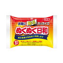 《興和》 ホッカイロ ぬくぬく日和 貼るタイプ レギュラー 10個入り(4)