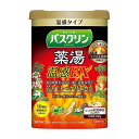 【医薬部外品】《バスクリン》 薬湯 温感EX 600g(3)