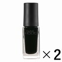 sR[Z[t NAIL HOLIC lCzbN BK010 5ml~2 ilCJ[j