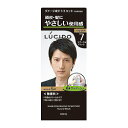 【マンダム】ルシード ワンプッシュケアカラー ナチュラルブラック《医薬部外品》