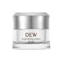 【医薬部外品】《カネボウ》 DEW ブライトニングクリーム 30g