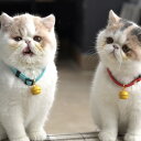 猫用 黄色い鈴 首輪 鈴付き ペット 猫 犬 鈴 かわいい 可愛い おしゃれ 鈴付き 大きな鈴 プレゼント 誕生日 ドラえもん 風 赤 青