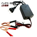 バッテリー充電器 12V ヒッポクリップ バイク 車 クリップ 簡易 バッテリー 充電器 オートバイ 自動車 小型 カーバッテリー 鉛バッテリー バッテリーチャ...