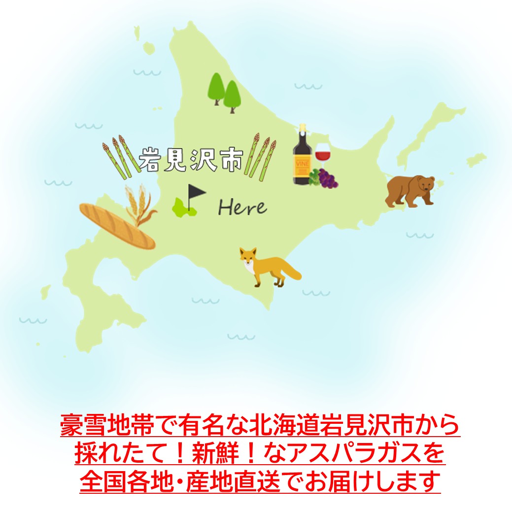 【予約商品】北海道産 夏アスパラ1kg7月下旬～発送 送料無料 贈答品 お中元 ギフト...