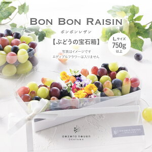 BonBonRaisin ぶどうの宝石箱 ボンボンレザン ぶどう詰め合わせ Lサイズ あおぞら農園 ぶどうギフト 葡萄 宝石箱 詰め合わせ 贈答 ギフト プレゼント 750g ぶどうミックス ミックスぶどう ぶどう ブドウ 旬 果物 晴れの国 おかやま