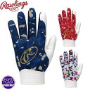 【クロネコゆうパケットOK】ローリングス(Rawlings) 野球 ベクターカモ2 守備用グローブ (24ss) 左手用 手袋 ネイビー×ゴールド/レッド×レッド/USA EBG24S08-NGO/RDRD/USA