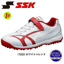 エスエスケイ(ssk) 少年野球 トレシュー トレーニングシューズ スタルキーTR アップシューズ ランニング ジュニア 練習用 (22ss) ホワイト×レッド...