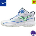 ミズノ(mizuno) バスケットボールシューズ ルーキーBB6 シューズ (25ss) ジュニア ホワイト×グリーン×ブルー W1GA257001