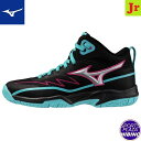 ミズノ(mizuno) バスケットボールシューズ ルーキーBB6 シューズ (25ss) ジュニア ブラック×シルバー×ブルー W1GA257002